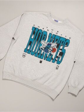 90s Charlotte Hornets Crewneck Graphic Sweatshirt Mens Color Works Vintage Gray
